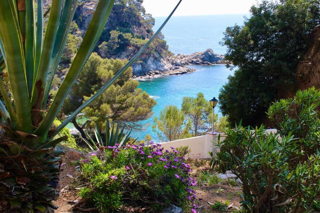 Estudio A 100M De La Playa Τόσα ντε Μαρ Εξωτερικό φωτογραφία